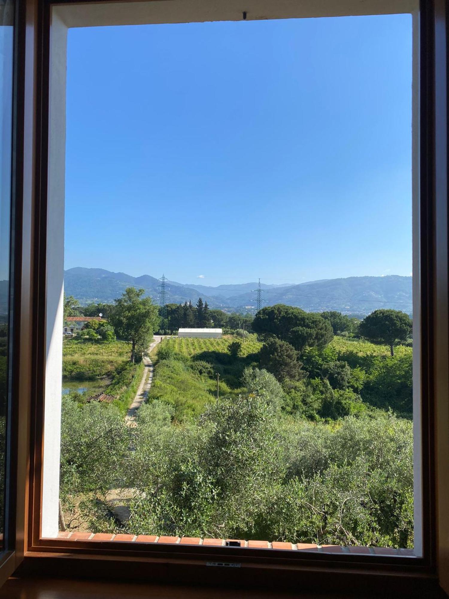 Casolare Di Adele Villa Montecarlo Dış mekan fotoğraf