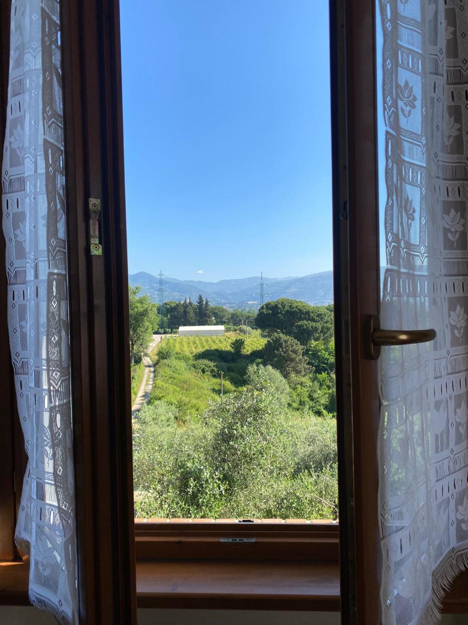 Casolare Di Adele Villa Montecarlo Dış mekan fotoğraf